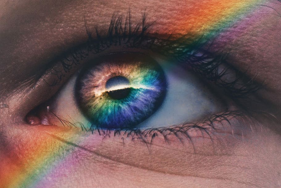 Perceiving Color
