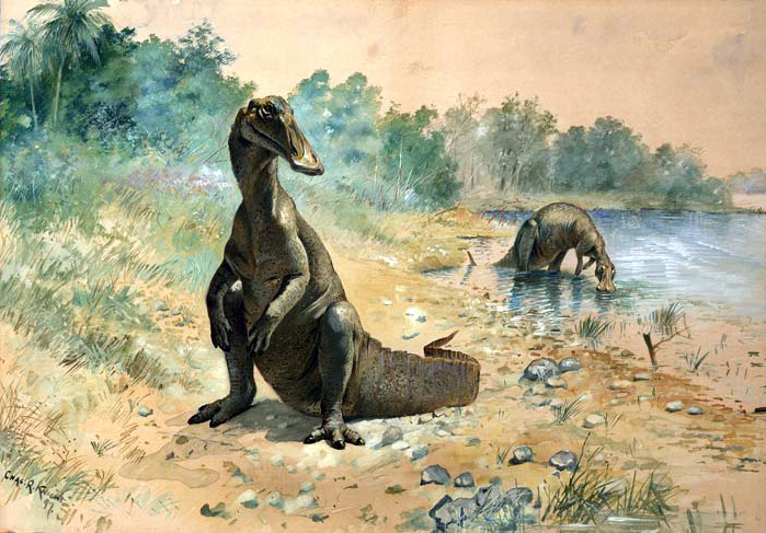 Jennifer Anne / Dinosaur Doctor