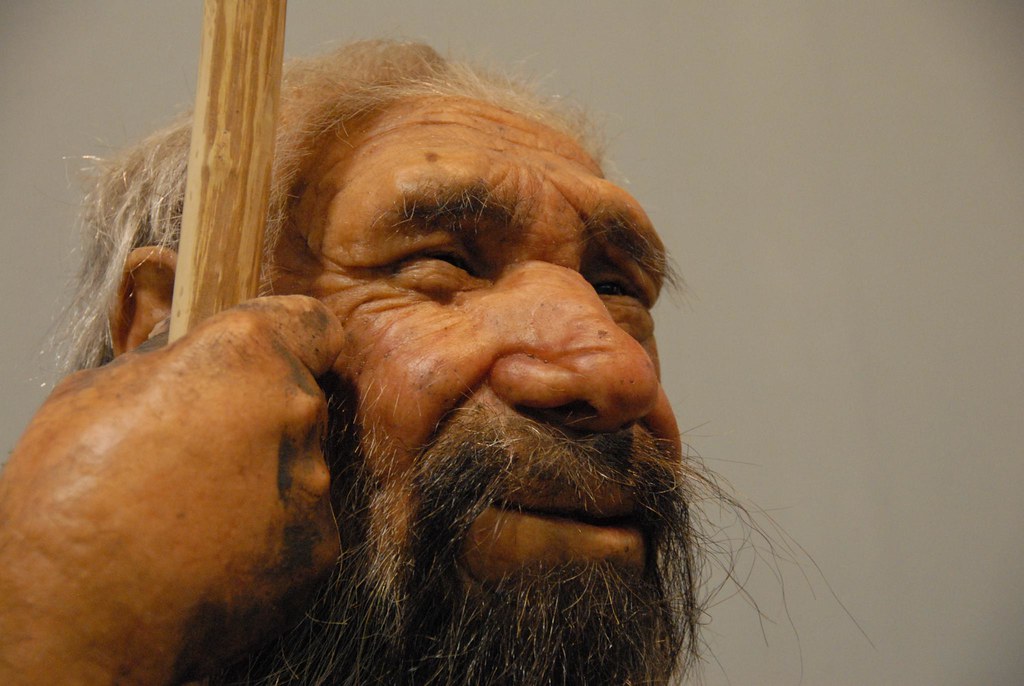 Rebecca Wragg Sykes / Neanderthal Life