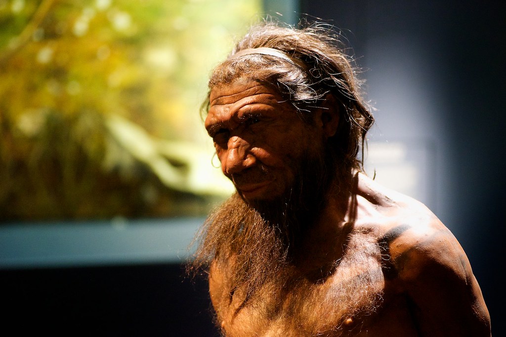 Doyle Stevick and Beverly Brown / Sticking up for Neanderthals