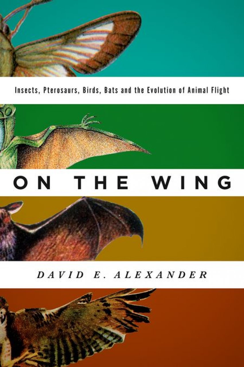 David Alexander / Evolution of Flight