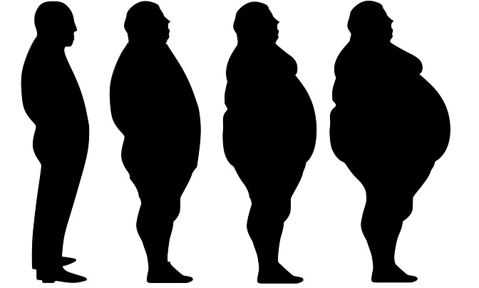 Gary Taubes / Fat Misdiagnosis