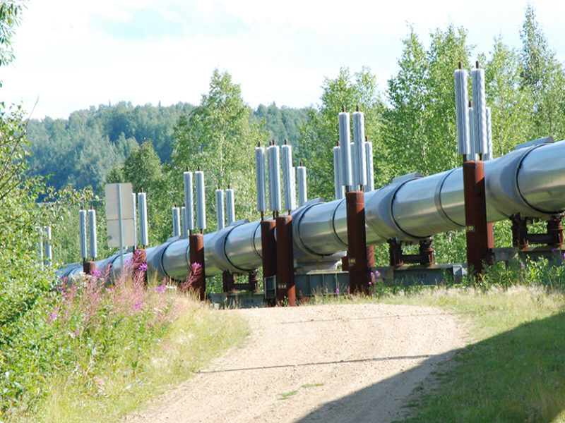 The Surprising Source of Greenhouse Gas Emissions