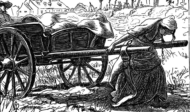 After the Plague