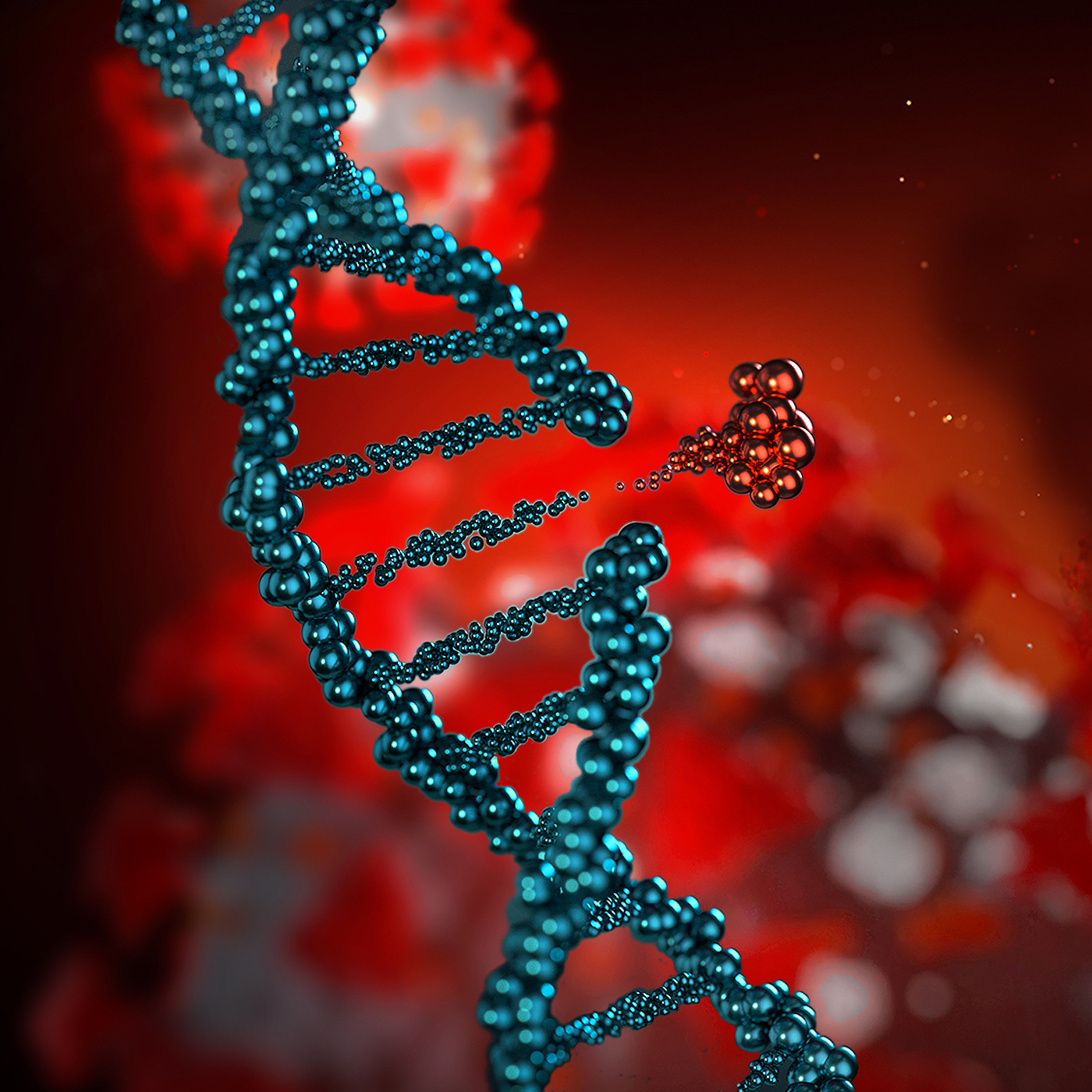 Mosquitos CRISPR