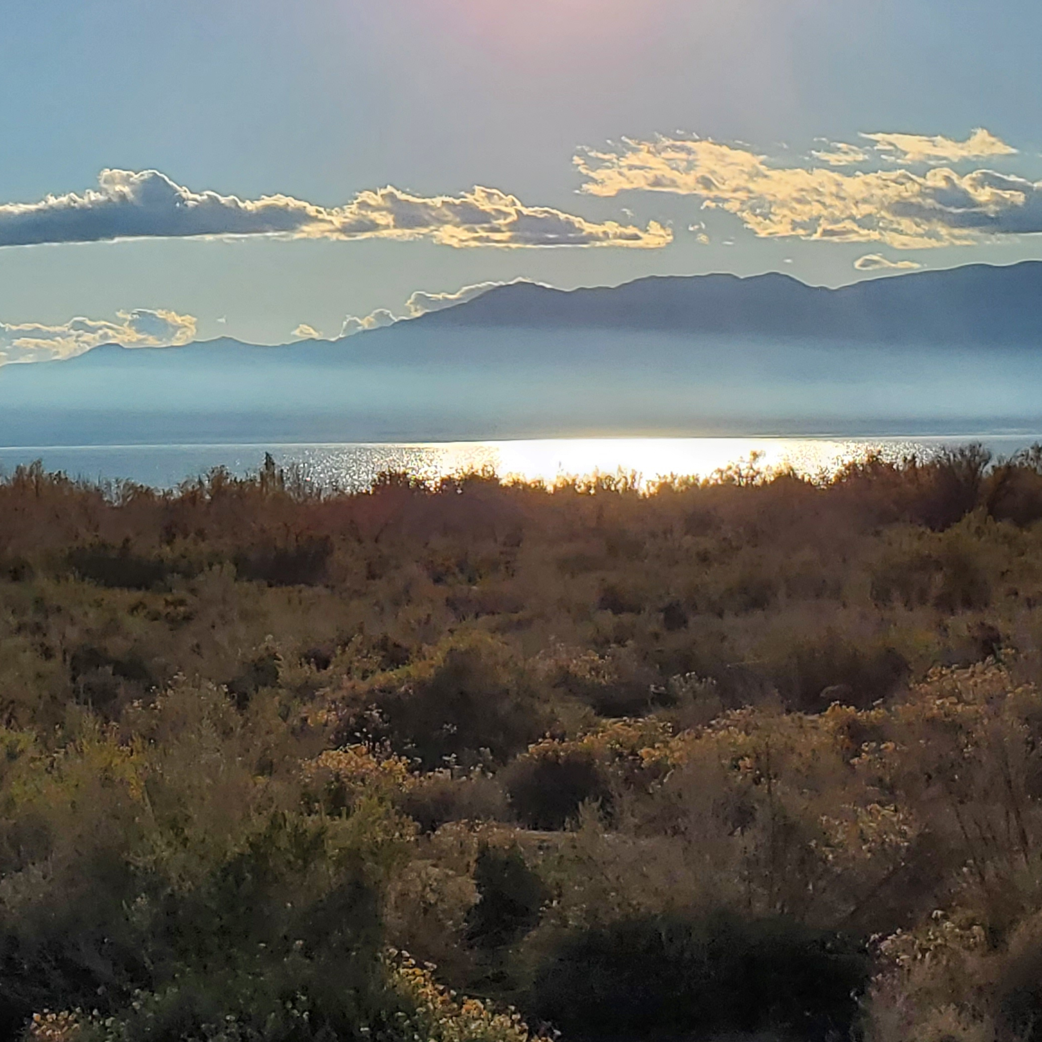 Lithium Valley