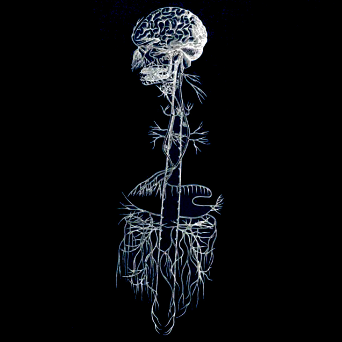 Touching a Nerve