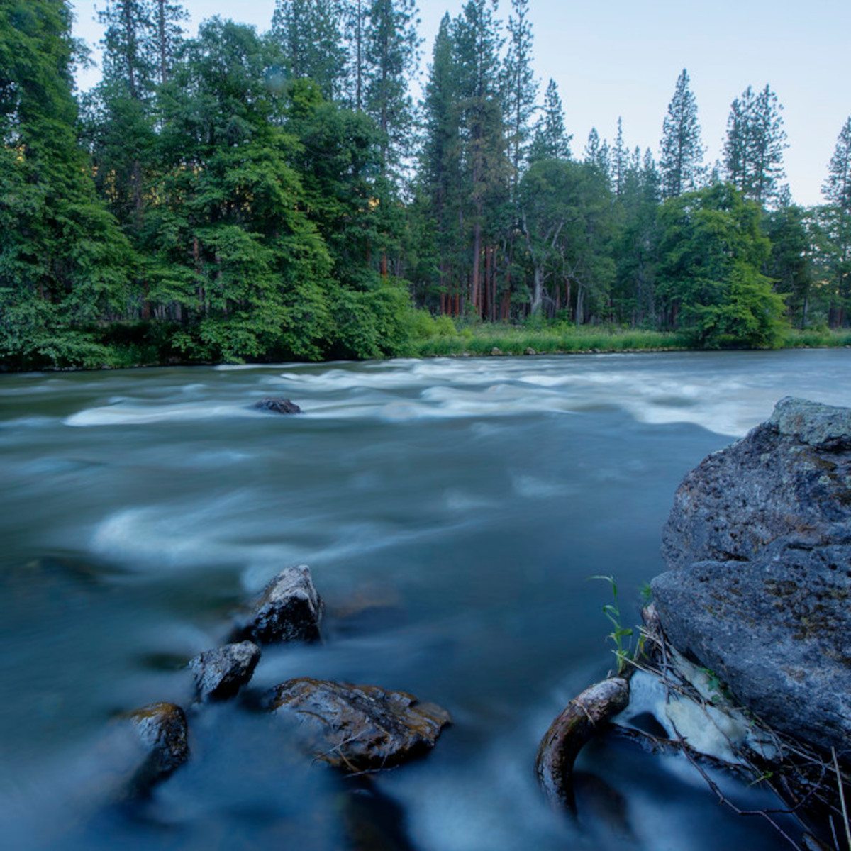 The Rights of Rivers