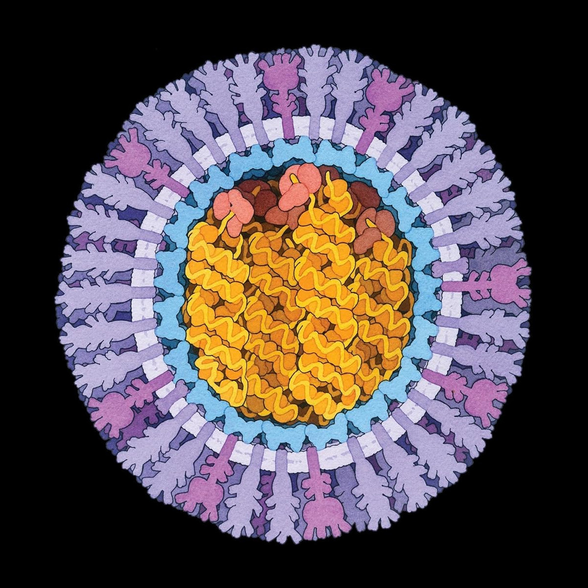 Preventing Future Pandemics